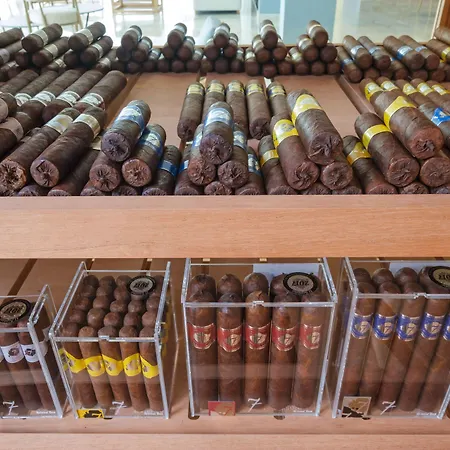 Hotel Malibu Foz - La Maison Younan Figueira da Foz