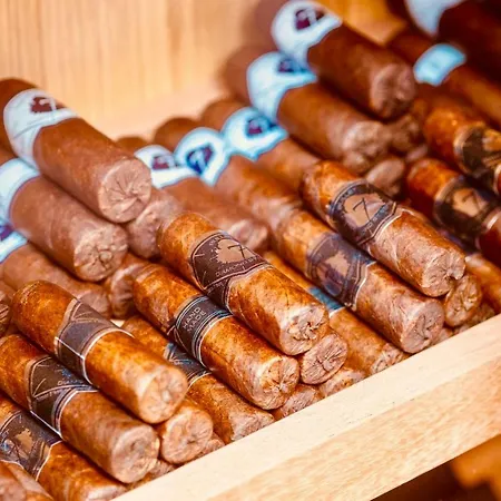 Hotel Malibu Foz - La Maison Younan Figueira da Foz