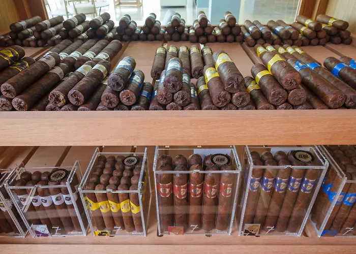 Hotel Malibu Foz - La Maison Younan Figueira da Foz