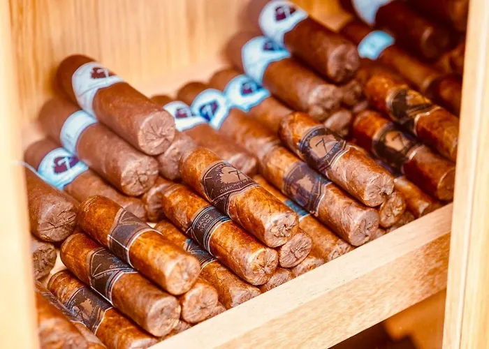 Hotel Malibu Foz - La Maison Younan Figueira da Foz